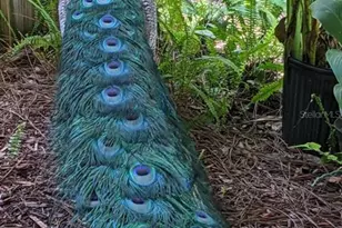 39200 Cook Brown Rd, Punta Gorda, FL 33982 - Photo 12