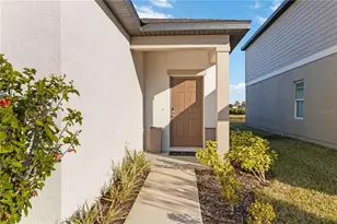 10435 Ladybug Cv, Parrish, FL 34219 - Photo 4