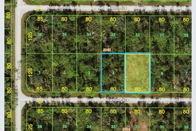 13092 Harbison Avenue, Port Charlotte, FL 33953 - Photo 1