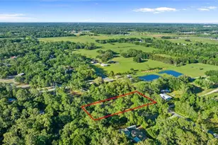 1416 Walker Rd, Lakeland, FL 33810 - Photo 4