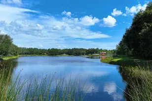 12338 Lavender Loop, Bradenton, FL 34212 - Photo 94