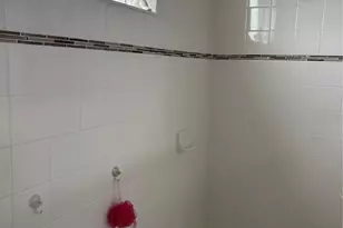 10923 Blue Magnolia Ln, Parrish, FL 34219 - Photo 22