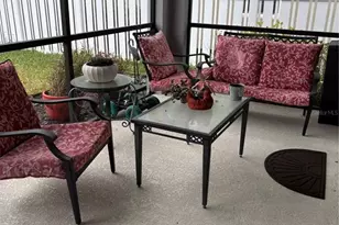 10923 Blue Magnolia Ln, Parrish, FL 34219 - Photo 26