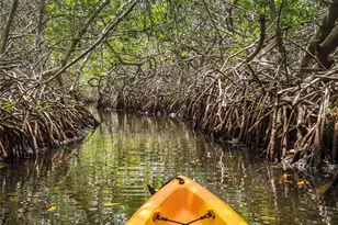 1305 4th St, Sarasota, FL 34236 - Photo 14