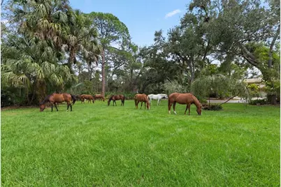 1343 Ranchero Drive, Sarasota, FL 34240 - Photo 12