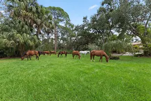 1343 Ranchero Dr, Sarasota, FL 34240 - Photo 12