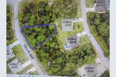 Felix Avenue, North Port, FL 34288 - Photo 2