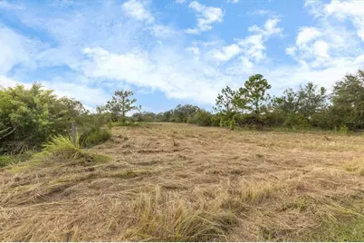 7820 235th Street E, Myakka City, FL 34251 - Photo 4