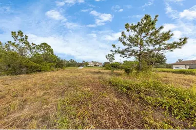 7820 235th Street E, Myakka City, FL 34251 - Photo 2