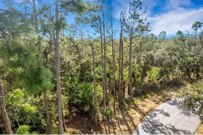 Lot 4 Jagust Road, North Port, FL 34288 - Photo 8