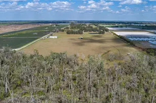 9952 303rd Ave E, Duette, FL 34219 - Photo 30