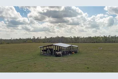 9952 303rd Avenue E, Duette, FL 34219 - Photo 24