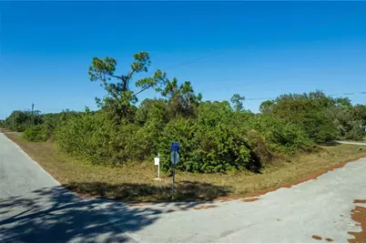 4407 E 20th Street, Alva, FL 33920 - Photo 8