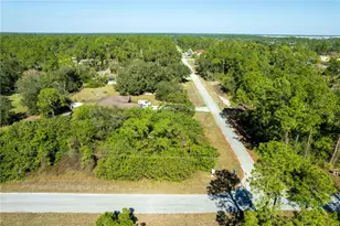 4407 E 20th St, Alva, FL 33920 - Photo 6