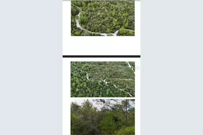 E Holly Hock Road, Deland, FL 32724 - Photo 4