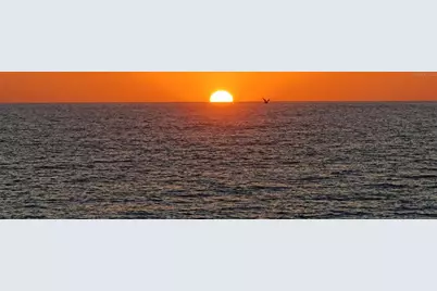 1 Benjamin Franklin Drive #91, Sarasota, FL 34236 - Photo 60