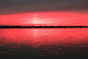 2212 6th St W, Palmetto, FL 34221 - Photo 4