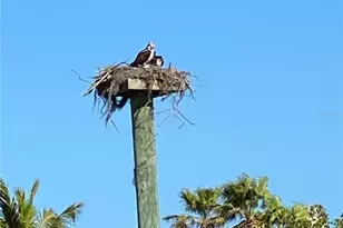 120 Gasparilla Way, Boca Grande, FL 33921 - Photo 28