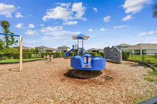 4918 Gray Owl Ter, Palmetto, FL 34221 - Photo 76