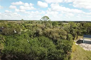 18430 River Estates Ln, Alva, FL 33920 - Photo 6