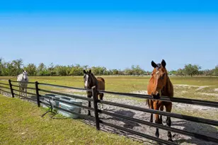 15101 Rawls Rd, Sarasota, FL 34240 - Photo 4