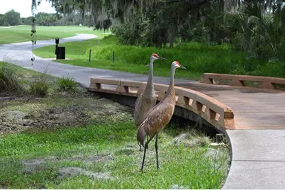 8847 Colonels Court, Sarasota, FL 34240 - Photo 82