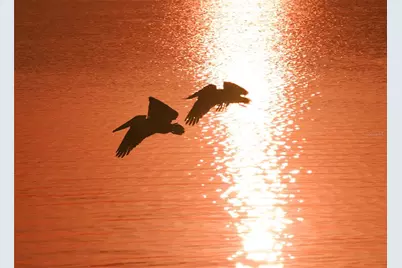 1633 Boathouse Circle #HA132, Sarasota, FL 34231 - Photo 60