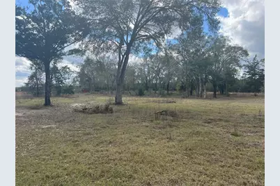 6766 264th Street, Branford, FL 32008 - Photo 4