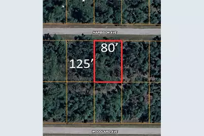 13165 Harbison Avenue, Port Charlotte, FL 33953 - Photo 2