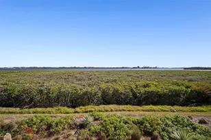 1323 Perico Point Cir, Bradenton, FL 34209 - Photo 42