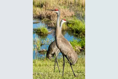 11716 Strandhill Court, Lakewood Ranch, FL 34202 - Photo 86