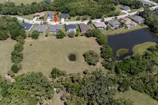 8615 59th St E, Parrish, FL 34219 - Photo 52