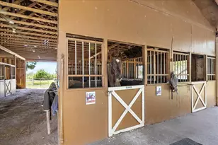 8200 Ibis St, Sarasota, FL 34241 - Photo 10