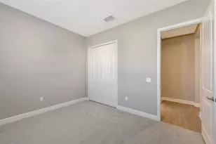 10027 Cross River Trl, Parrish, FL 34219 - Photo 28