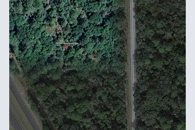 7972 N Basswood Avenue, Crystal River, FL 34428 - Photo 4