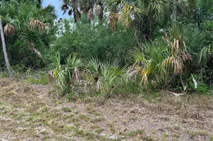 361 & 369 Juper St, Port Charlotte, FL 33953 - Photo 1
