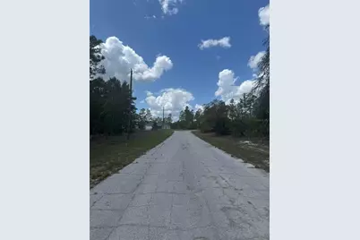 2984 W Liza Place, Dunnellon, FL 34433 - Photo 2