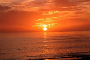 4852 Featherbed Ln, Sarasota, FL 34242 - Photo 78