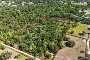 24820 49th Ave E, Myakka City, FL 34251 - Photo 1