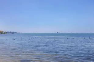 3931 Bay Shore Rd, Sarasota, FL 34234 - Photo 52