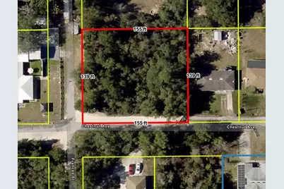 Chestnut Avenue, Orange City, FL 32763 - Photo 4