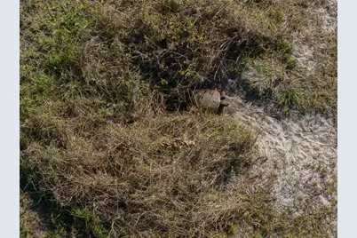 17154 Sugar Court, Punta Gorda, FL 33955 - Photo 16