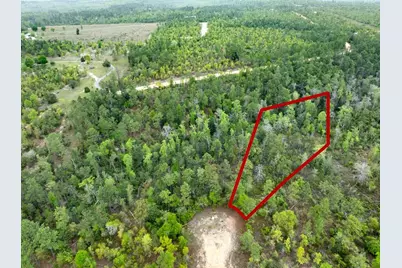 Castle Circle, Alford, FL 32420 - Photo 4