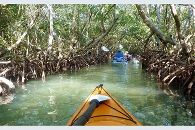 1750 Benjamin Franklin Drive #6F, Sarasota, FL 34236 - Photo 42