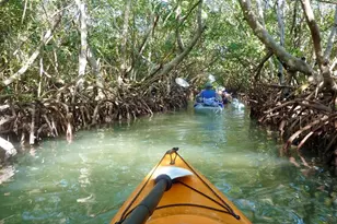 1750 Benjamin Franklin Dr, Sarasota, FL 34236 - Photo 42