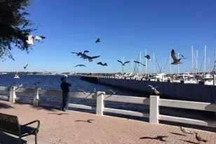 1400 1st Ave W, Bradenton, FL 34205 - Photo 2