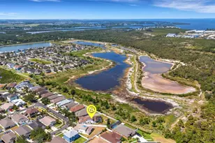 1657 Bonita Bluff Ct, Ruskin, FL 33570 - Photo 82