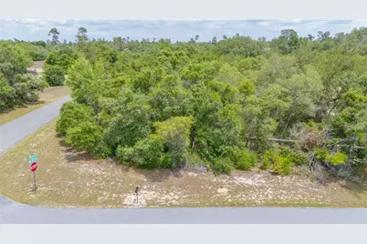 Tbd Lot 27 SW 158th St Road, Ocala, FL 34473 - Photo 14