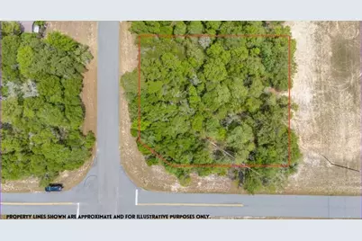 Tbd Lot 27 SW 158th St Road, Ocala, FL 34473 - Photo 16