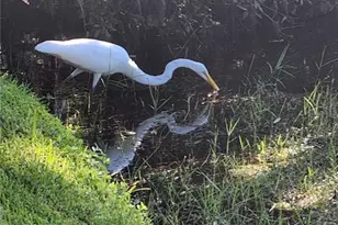 89 Whipporwill Ct, Ellenton, FL 34222 - Photo 52